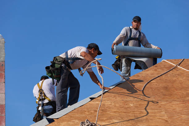 Best Local Roofing Companies  in Ocean Park, WA